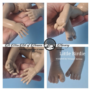 Little Birdie Silicone Un-Painted Kit Sculpted by Viviane Aleluia