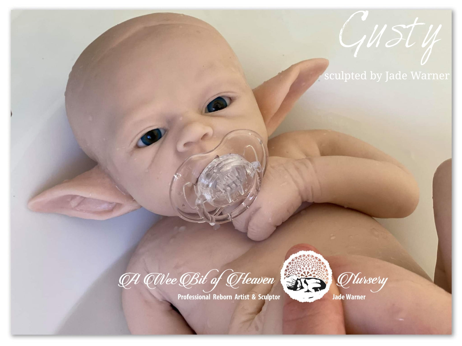 Gusty  Full Body Silicone Baby Girl * Deposit Only*